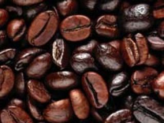 Los granos de café secos, proporcionados por nosotros, son