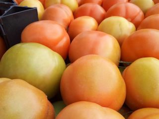 nos complace ofrecer tomates frescos (cereza, ciruela, cereza) empacados