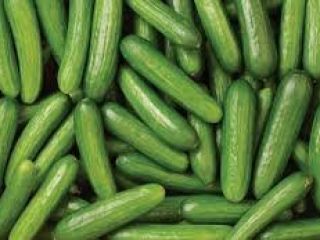 Especificaciones del pepino fresco de EE. UU. ETAPA 1