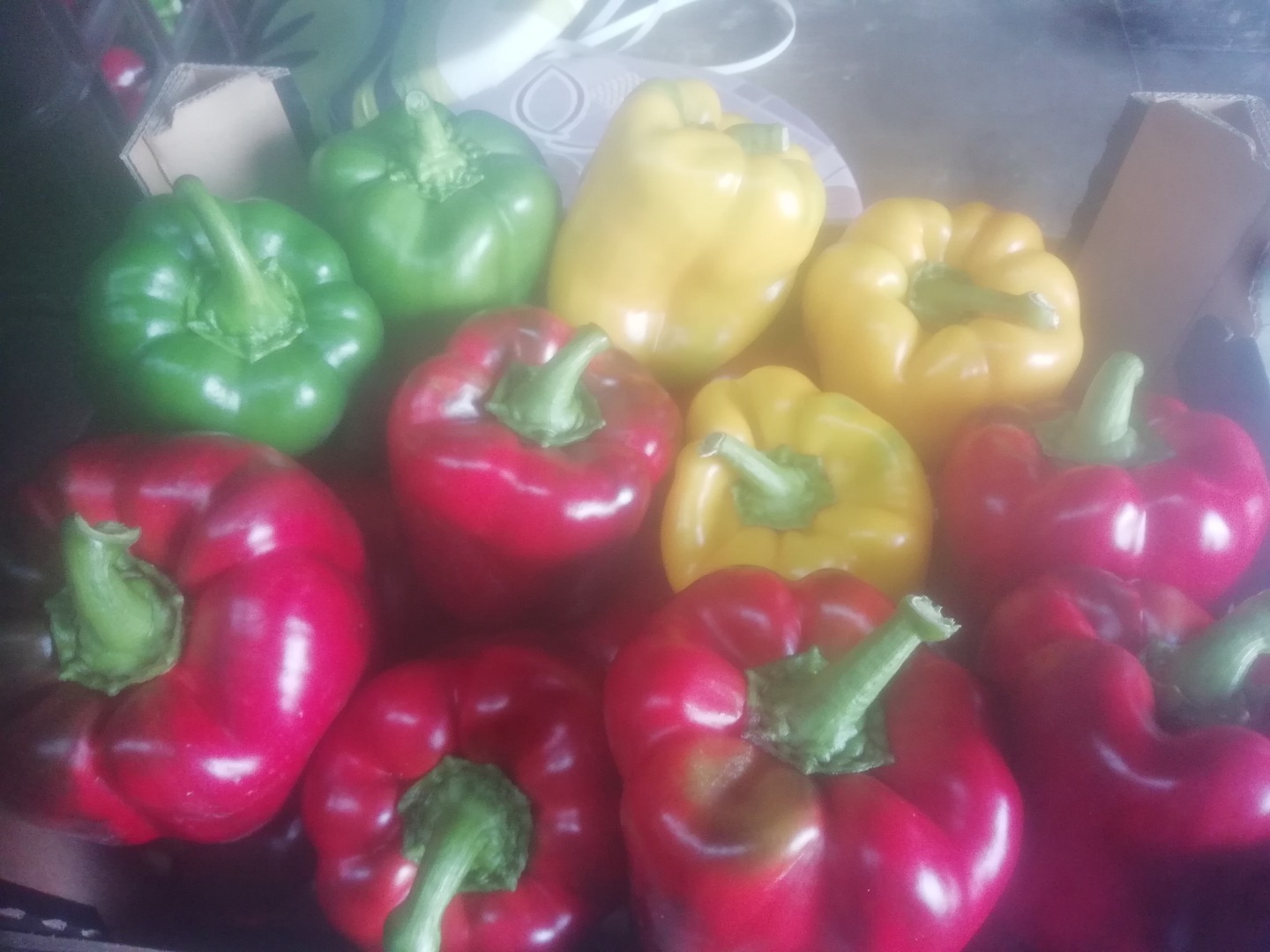 Hola, venderé pimientos rojos, amarillos y verdes, clase premium