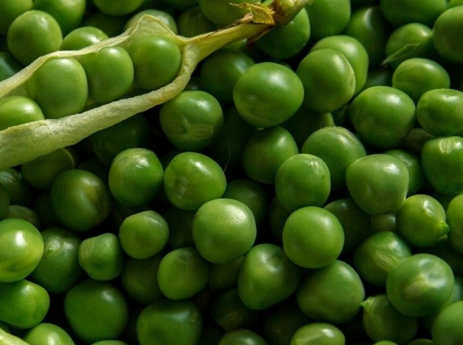Guisantes de la cosecha de 2019
