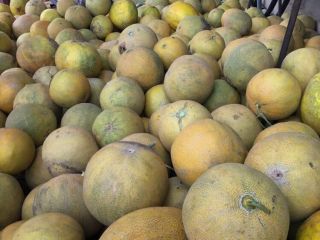 Tenemos a la venta melones amarillos importados por Rumania.