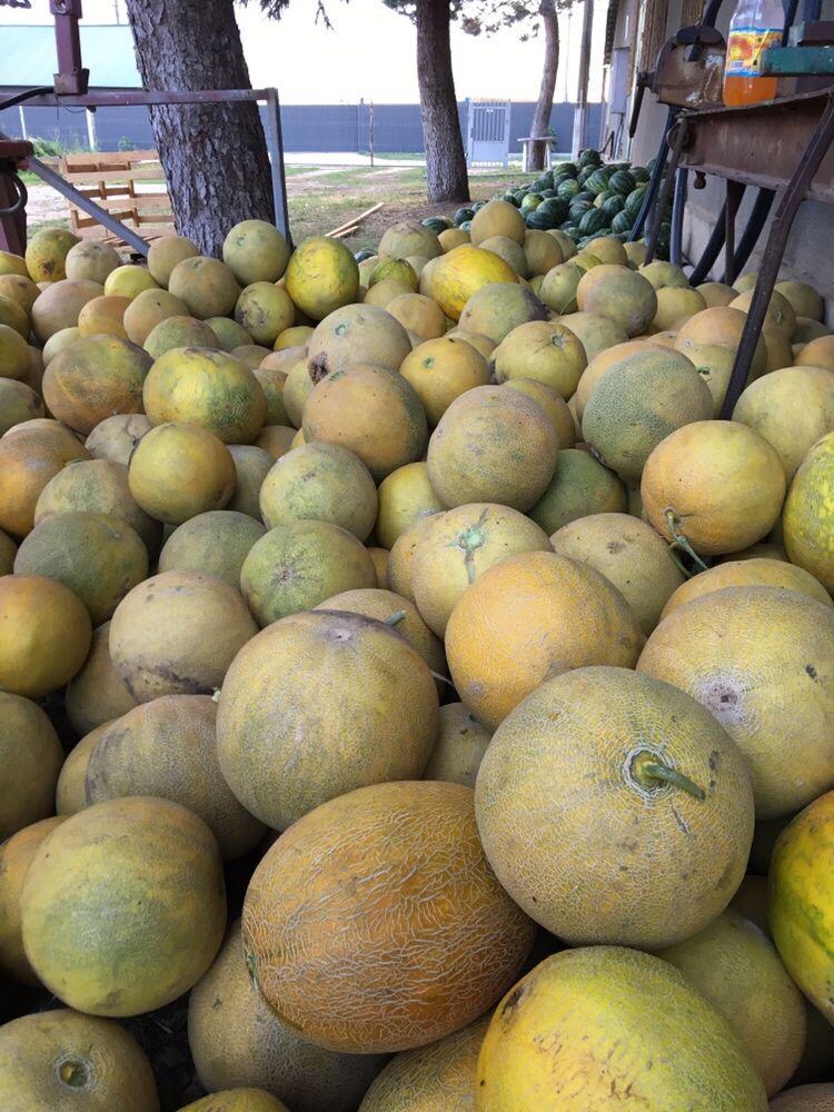 Tenemos a la venta melones amarillos importados por Rumania