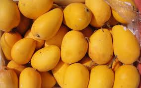 El mango egipcio fresco es una de las frutas más nutritivas con un sabor, olor y sabor distintivos, por lo que el mango egipcio es una fruta única con una