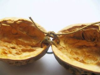 Compraré SOLO nueces, avellanas y derivados. Shell en cualquier