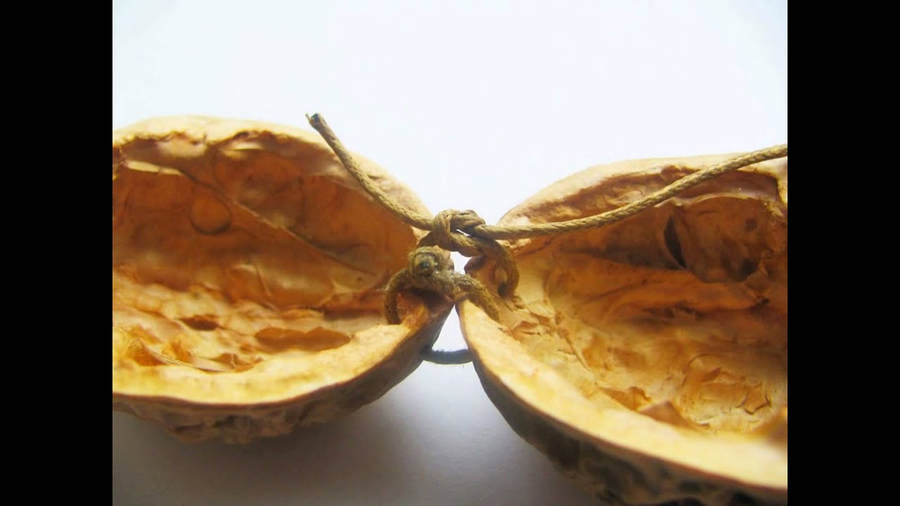 Compraré SOLO nueces, avellanas y derivados
