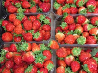 Venderé fresas, agradables, frescas, clase I, san andreas, envases