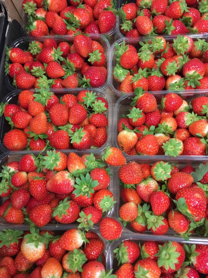 Venderé fresas, agradables, frescas, clase I, san andreas, envases de 500 g