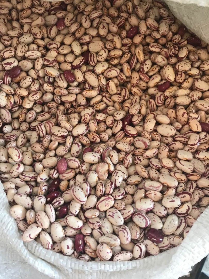 Vendo frijoles de diferentes tipos