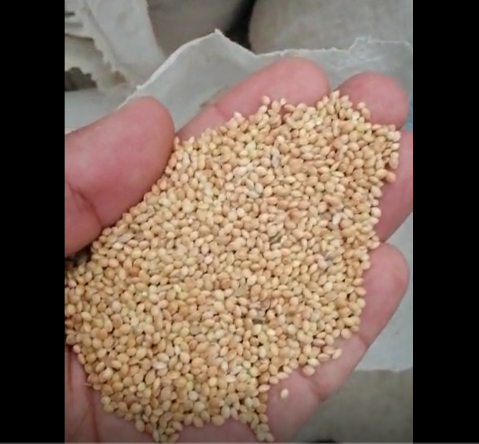 Nombre mijo amarillo Nueva cosecha, Forma Forma redonda Origen Uzbekistán Humedad 14% Aditivo máximo 1% Embalaje máximo Bolsa tejida de PP de 25 kg cada uno