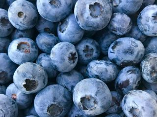 Venderé arándanos alrededor de 1 tonelada Embalado 3 kg