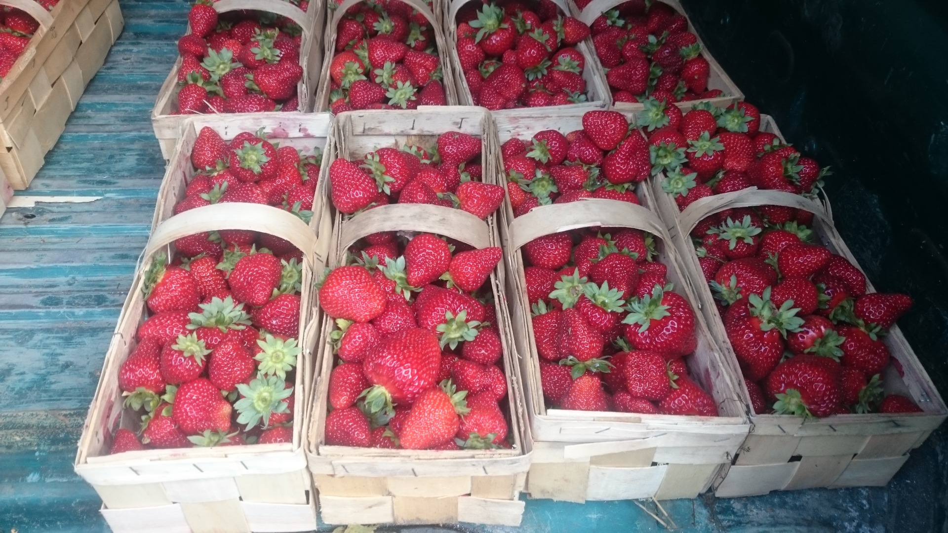 Venderé una fresa POLONIA (fotos)