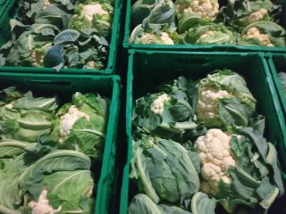 Coliflor, polaco, 6 piezas / caja, recoger en Grójec.