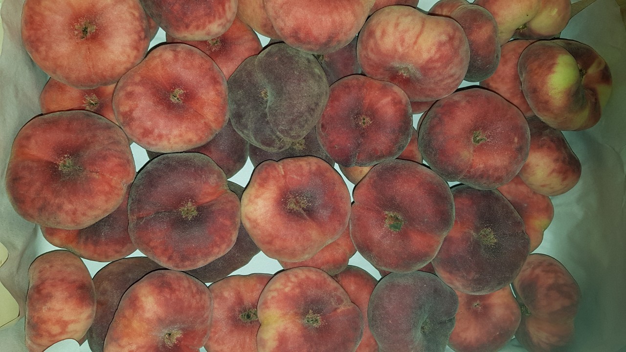 Venderé durazno paraguayo, importado, fresco, bonito, jugoso