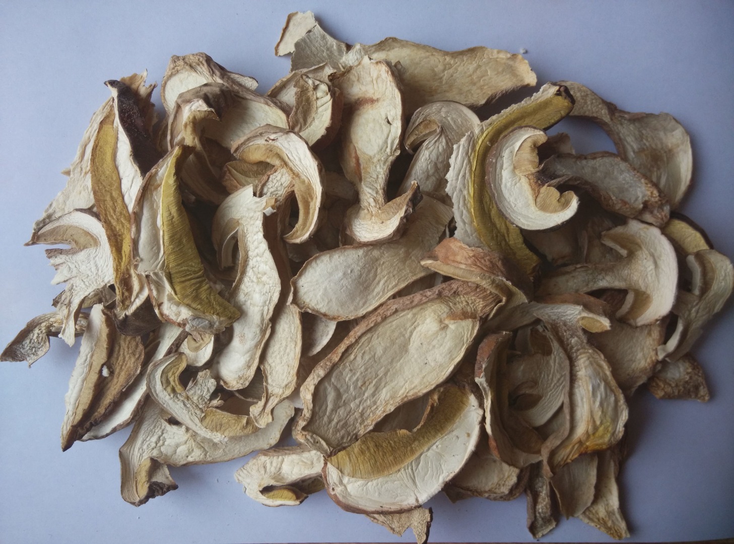 recolectamos boletus edulis de la mano de los agricultores y lo procesamos en nuestros propios talleres, como proveedor directo, nuestro precio es competitivo