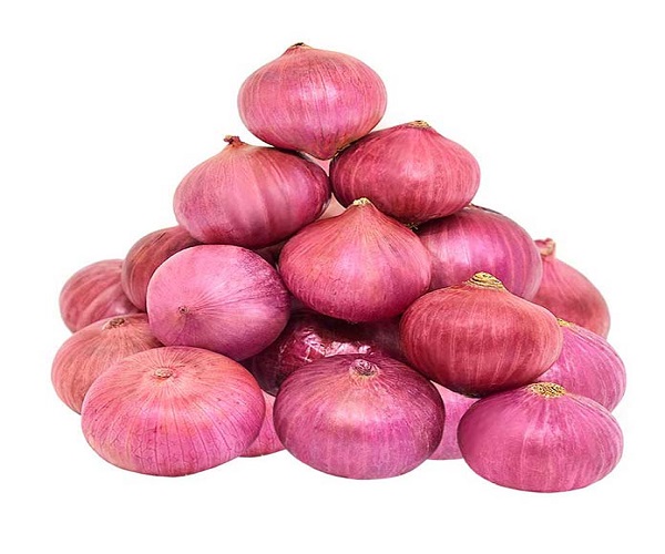 contacto para ofertas frescas y buenas tarifas precios productos directos de granjas