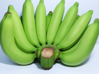 contacto para ofertas frescas y buenas tarifas precios productos