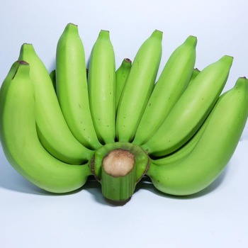 contacto para ofertas frescas y buenas tarifas precios productos directos de granjas