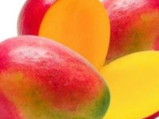 contacto para ofertas frescas y buenas tarifas precios productos