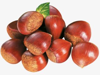 contacto para ofertas frescas y buenas tarifas precios productos