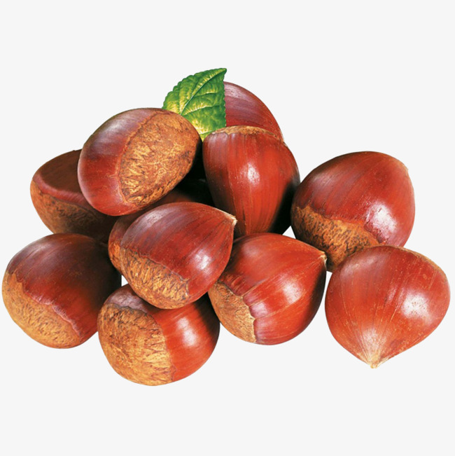 contacto para ofertas frescas y buenas tarifas precios productos directos de granjas