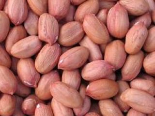 contacto para ofertas frescas y buenas tarifas precios productos