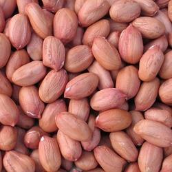 contacto para ofertas frescas y buenas tarifas precios productos directos de granjas