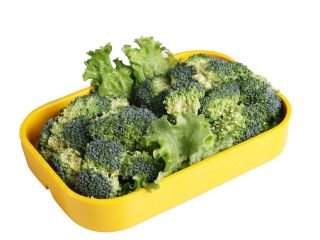 contacto para ofertas frescas y buenas tarifas precios productos