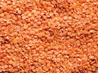 contacto para ofertas frescas y buenas tarifas precios productos