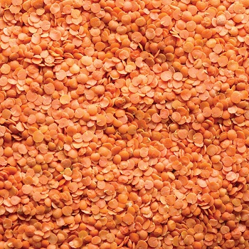 contacto para ofertas frescas y buenas tarifas precios productos directos de granjas