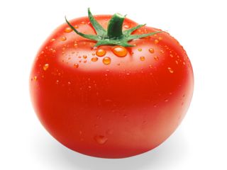 contacto para ofertas frescas y buenas tarifas precios productos