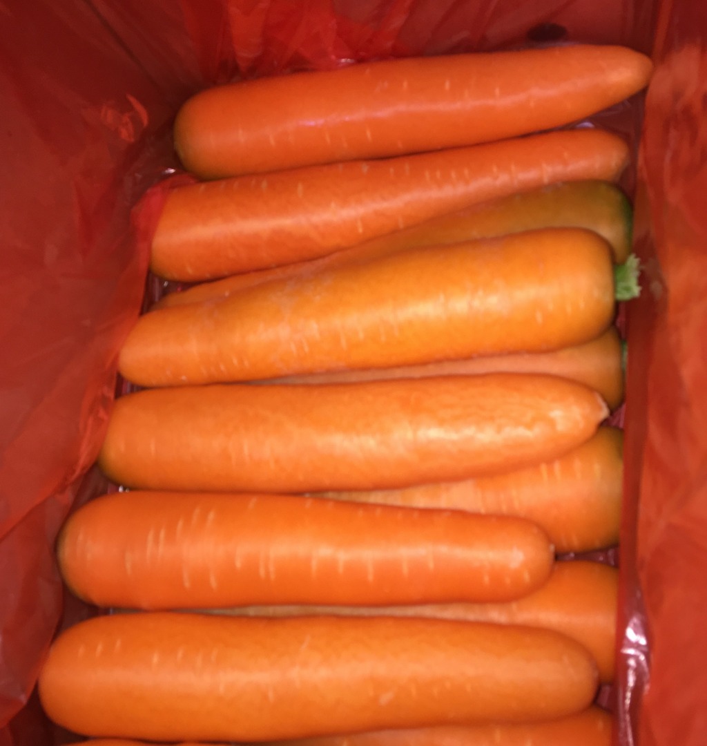 contacto para ofertas frescas y buenas tarifas precios productos directos de granjas