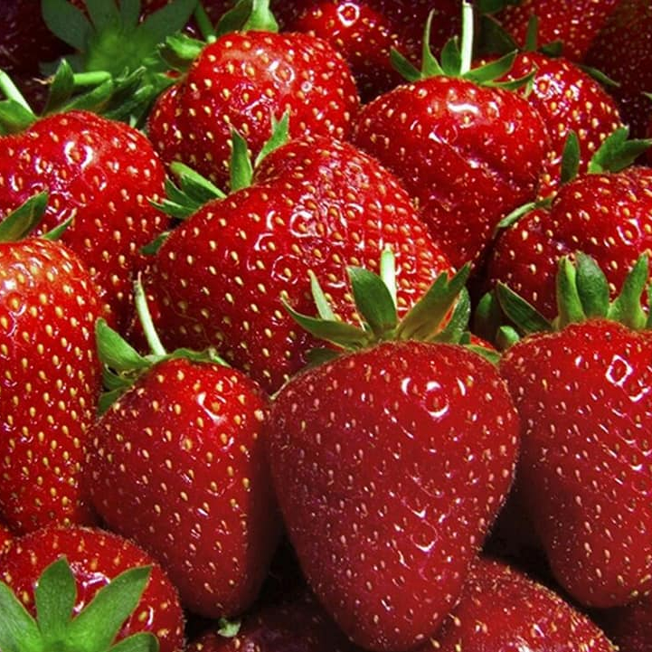 contact for fresh offers and good price rates direct products from farms