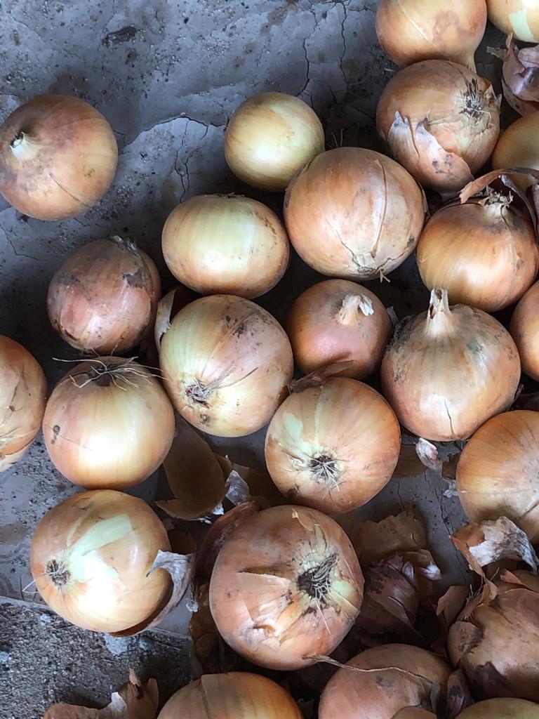 Venderé cebollas de Uzbekistán, calibre 5+, en cualquier cantidad, preferiblemente en camiones