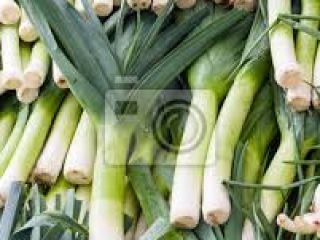 Venderé grandes cantidades de puerro, de unos 4 cm