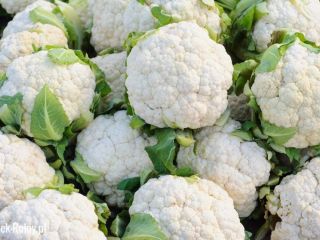 Venderé coliflor. Hermoso blanco grandes cantidades. El resto de