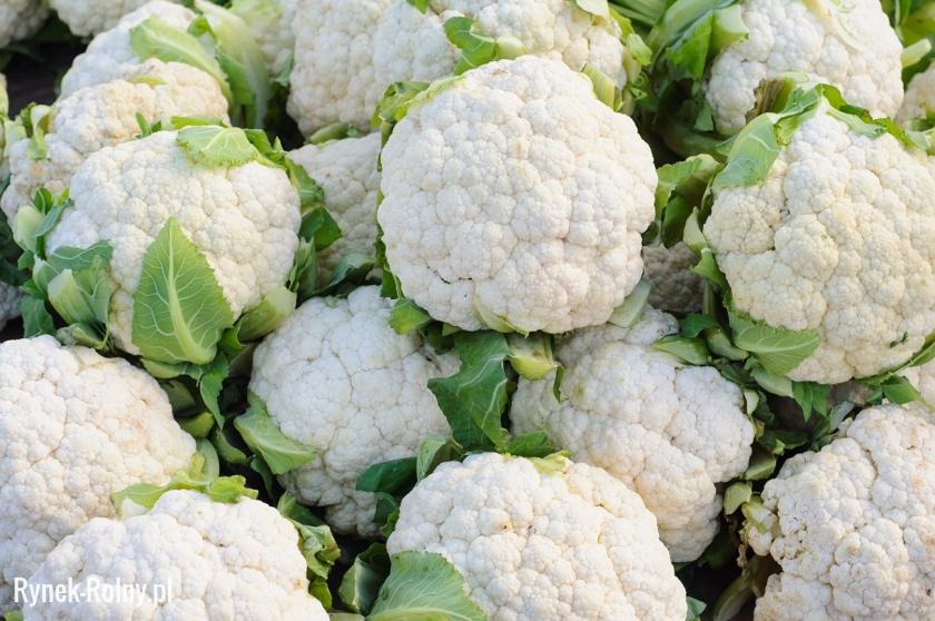Venderé coliflor