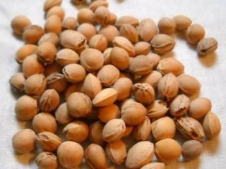 Estoy buscando semillas de cereza limpias para botellas de