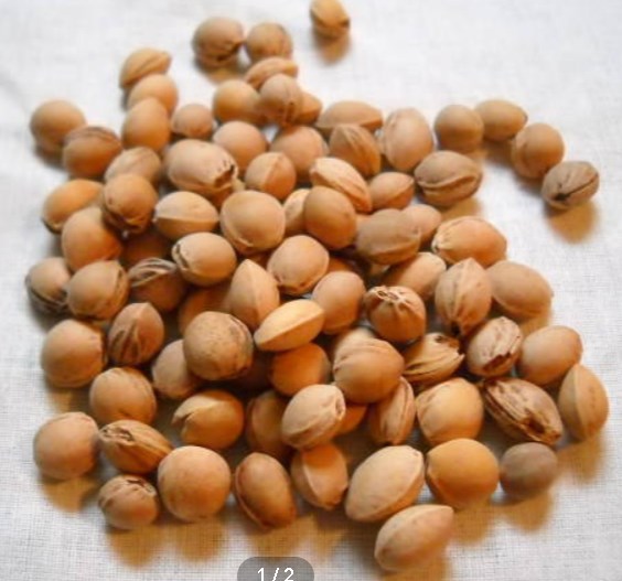 Estoy buscando semillas de cereza limpias para botellas de agua caliente