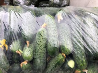 ¡Legabel fruct 2016 srl vende pepinos de pepino de