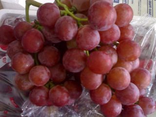 Compre uvas frescas sin semillas de todas las variedades