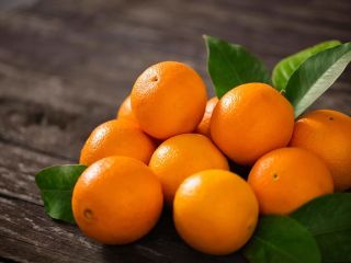 Compre naranjas frescas de Egipto a un precio bajo