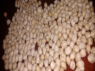 Compre garbanzos procesados de todas las variedades a un