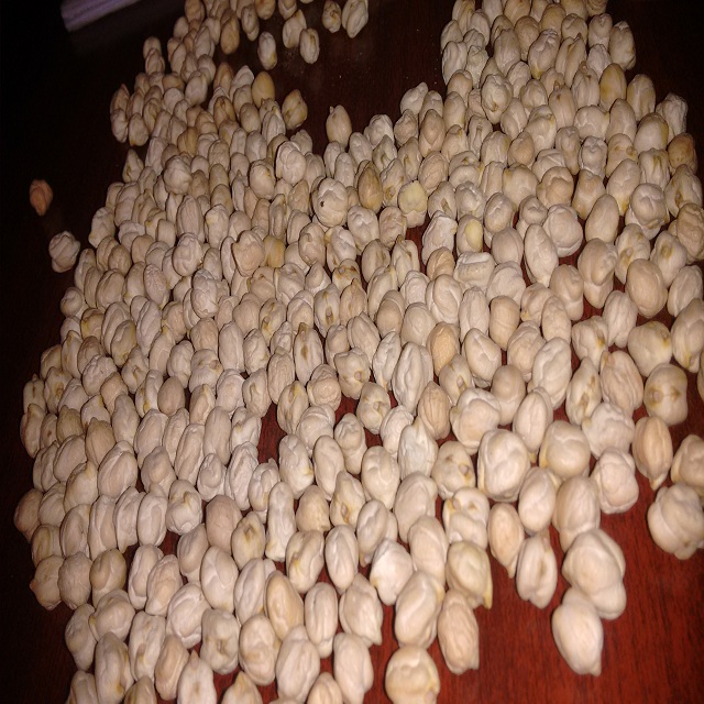 Compre garbanzos procesados de todas las variedades a un precio bajo de nosotros