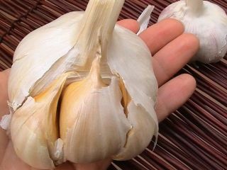 Compre variedades de ajo blanco procesado a un precio