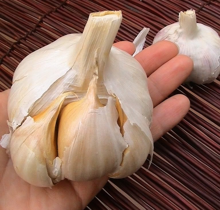 Compre variedades de ajo blanco procesado a un precio bajo de nosotros