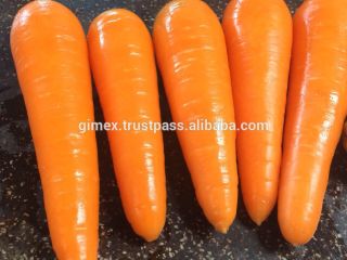 Compre zanahorias frescas de todas las variedades a un