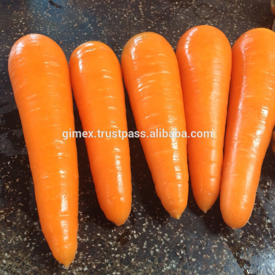 Compre zanahorias frescas de todas las variedades a un precio bajo