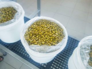 Hola, tengo a la venta varios tipos de aceitunas