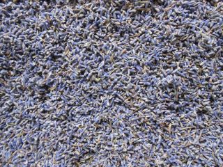 En venta; bonito conjunto de flores de lavanda 2019